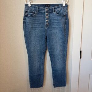 Judy Blue Skinny Fit Jeans Size 32